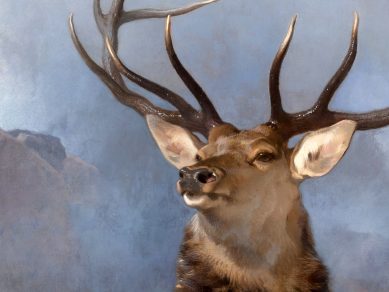 The Monarch of the Glen